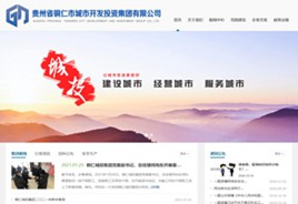 子洲城市开发投资集团有限公司